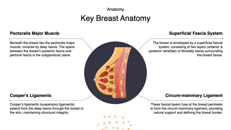 Breast Preservation Surgery Overview slide | Beverly Hills Plastic Surgery