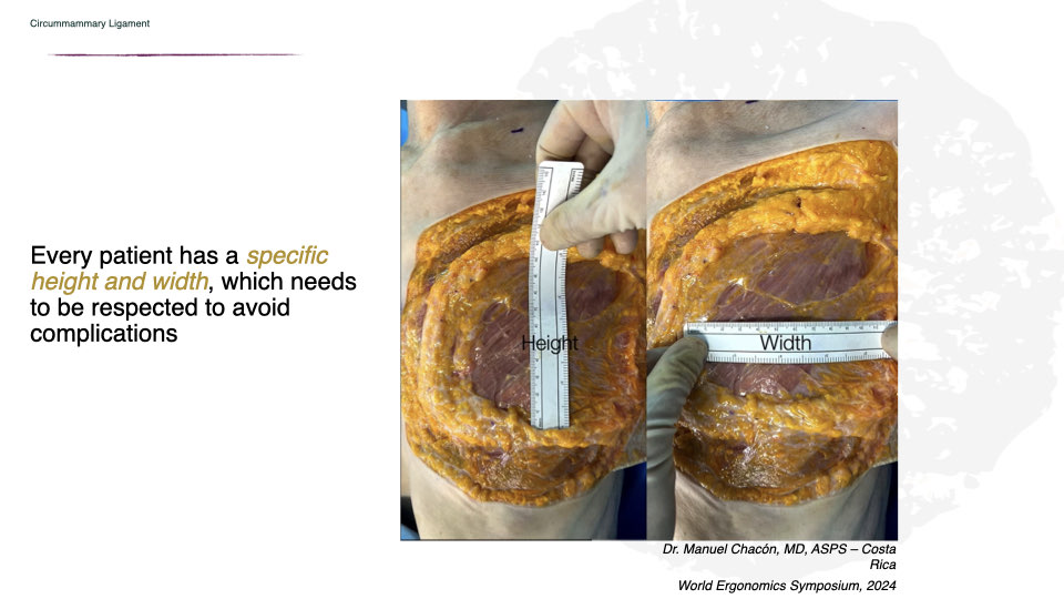 Breast Preservation Surgery Overview slide | Beverly Hills Plastic Surgery